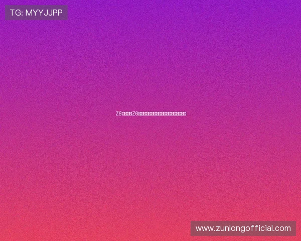 Z6就是博：Z6在用户体验和性能表现方面的卓越表现分析